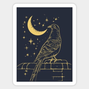 Urban Celestial Pigeon – A Bird of the Night Sky Magnet
